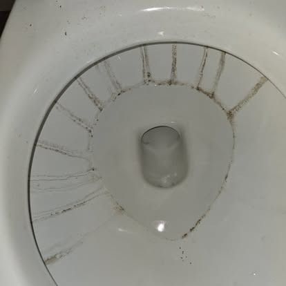 Toilet Deep Clean
