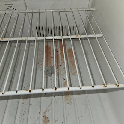 Refrigerator Deep Clean